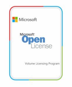 Microsoft Project Professional lic VL