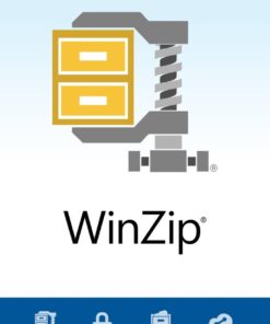 WinZip 29 Standard (1 PC - perpetual) ESD
