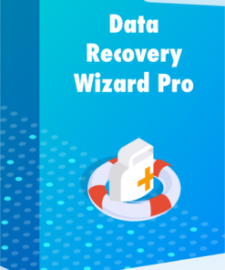 EaseUS Data Recovery Wizard Pro (1 PC - 1 Jahr) ESD