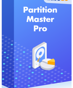 EaseUS Partition Master Pro (2 PC - 1 Jahr) ESD